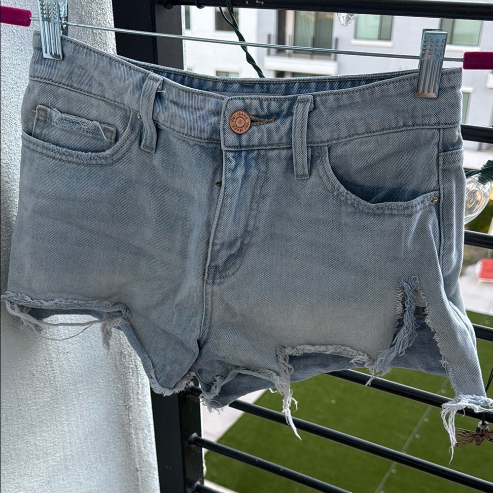 YMI Light Blue Distressed Jean Shorts